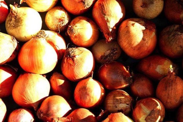 Кракен сайт vtor run