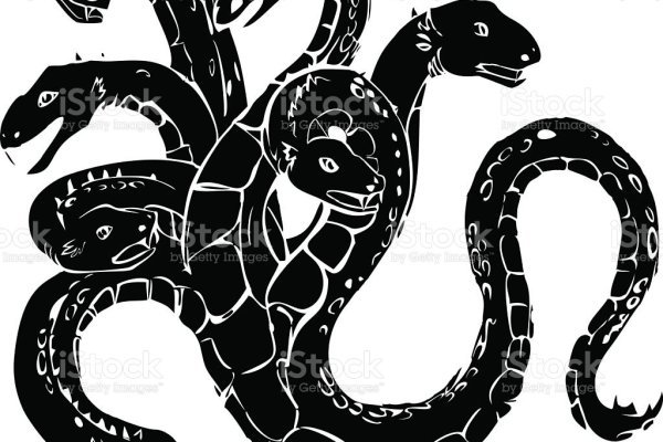 Kraken 12