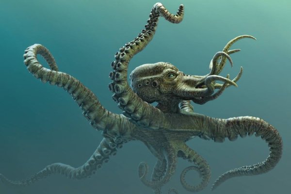 Kraken hydra